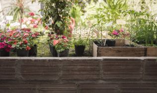 Co vše lze pěstovat na balkóně: Praktické rady pro zahradníky v bytě